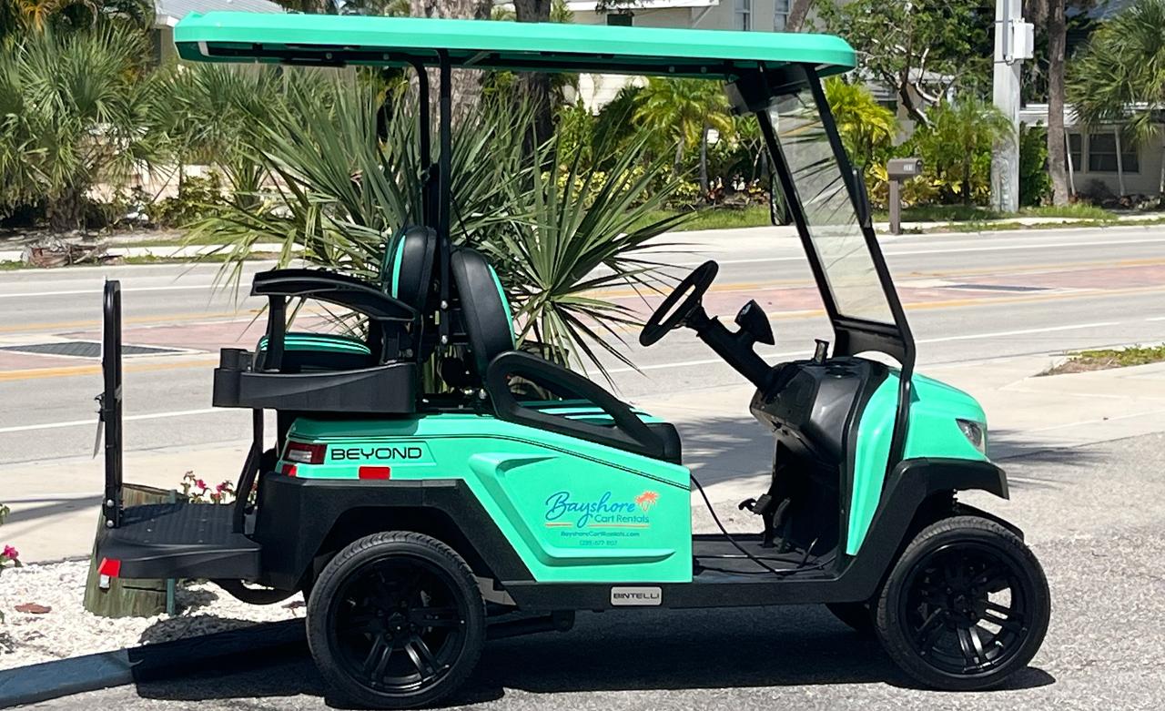 4 Hour Cart Rental (4 passengers)