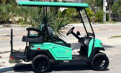 4 Hour Cart Rental (4 passengers)