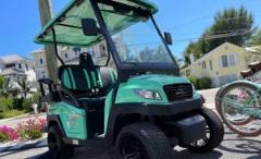 4-passenger Cart Long Term