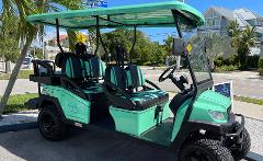 6-Passenger Cart Daily Rate