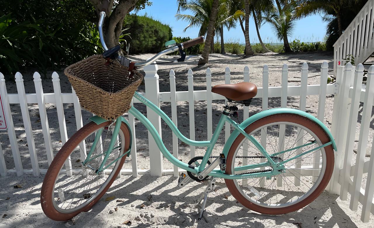 Mint Bike - Long Term Rate
