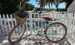 Mint Bike - Long Term Rate