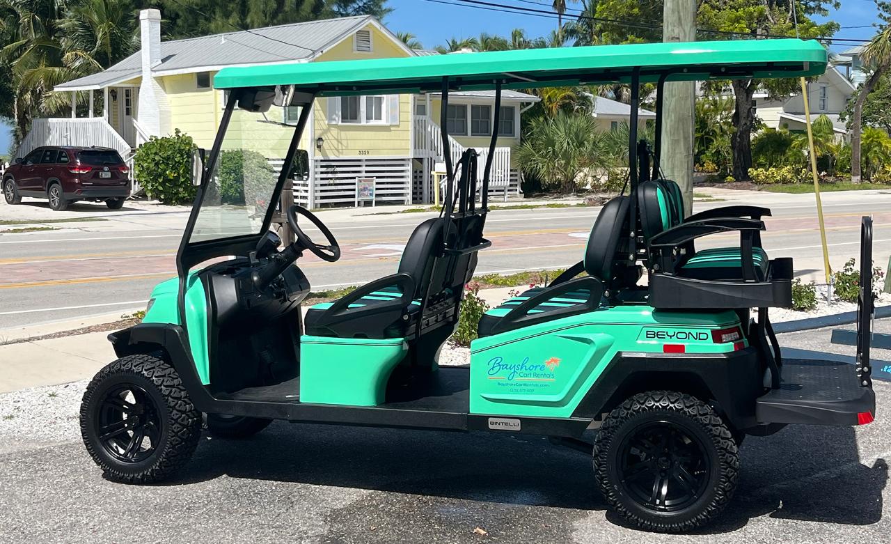 4 Hour Cart Rental (6 passengers)
