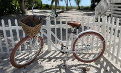 White Bike - Daily Rate