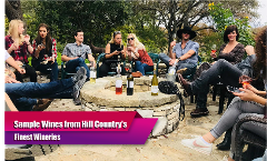 San Antonio Half Day Private Wine Tasting Tour - Party Bus