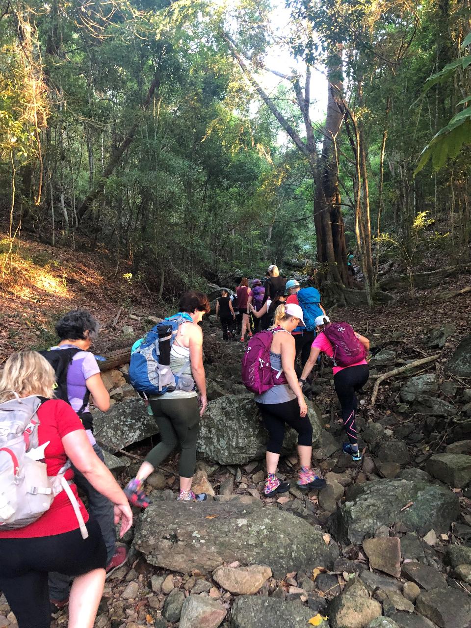 Brisbane GirlsTrek Endurance Walks - Buy 3 get 4