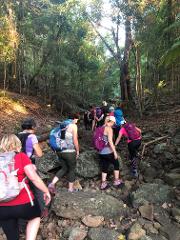 Brisbane GirlsTrek Endurance Walk - single day