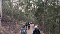 Brisbane FITNESS TREKS 