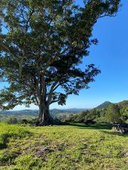 Noosa Eco Adventure