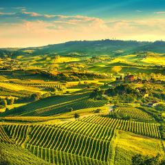 Piedmont Culinary Journey, Italy