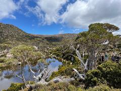 Tasmania Wild Gourmet