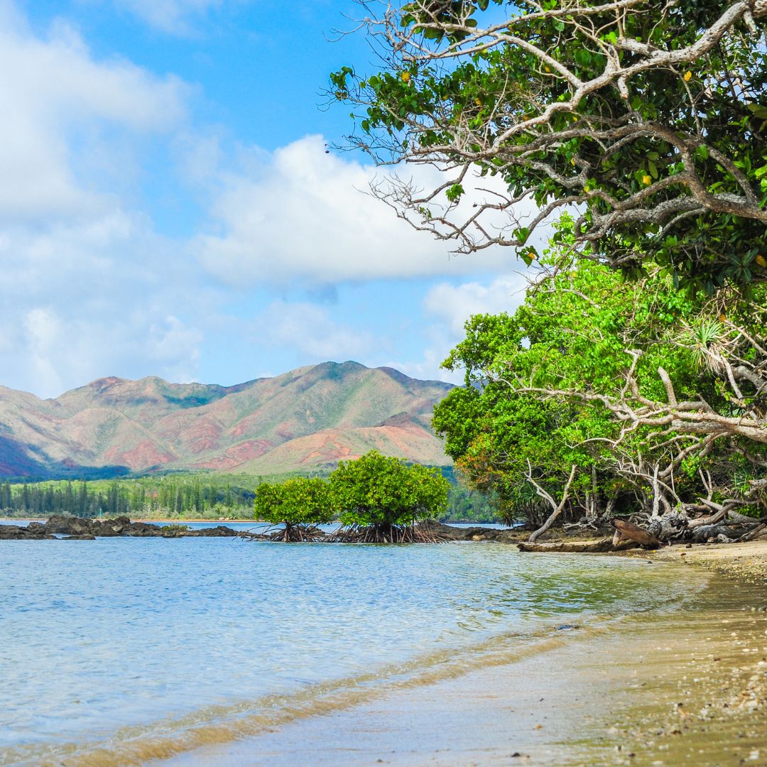 New Caledonia