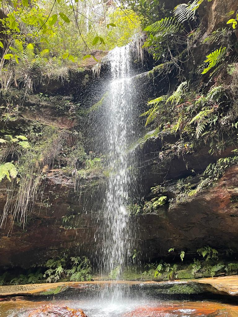 Blue Mountains Indulgence 