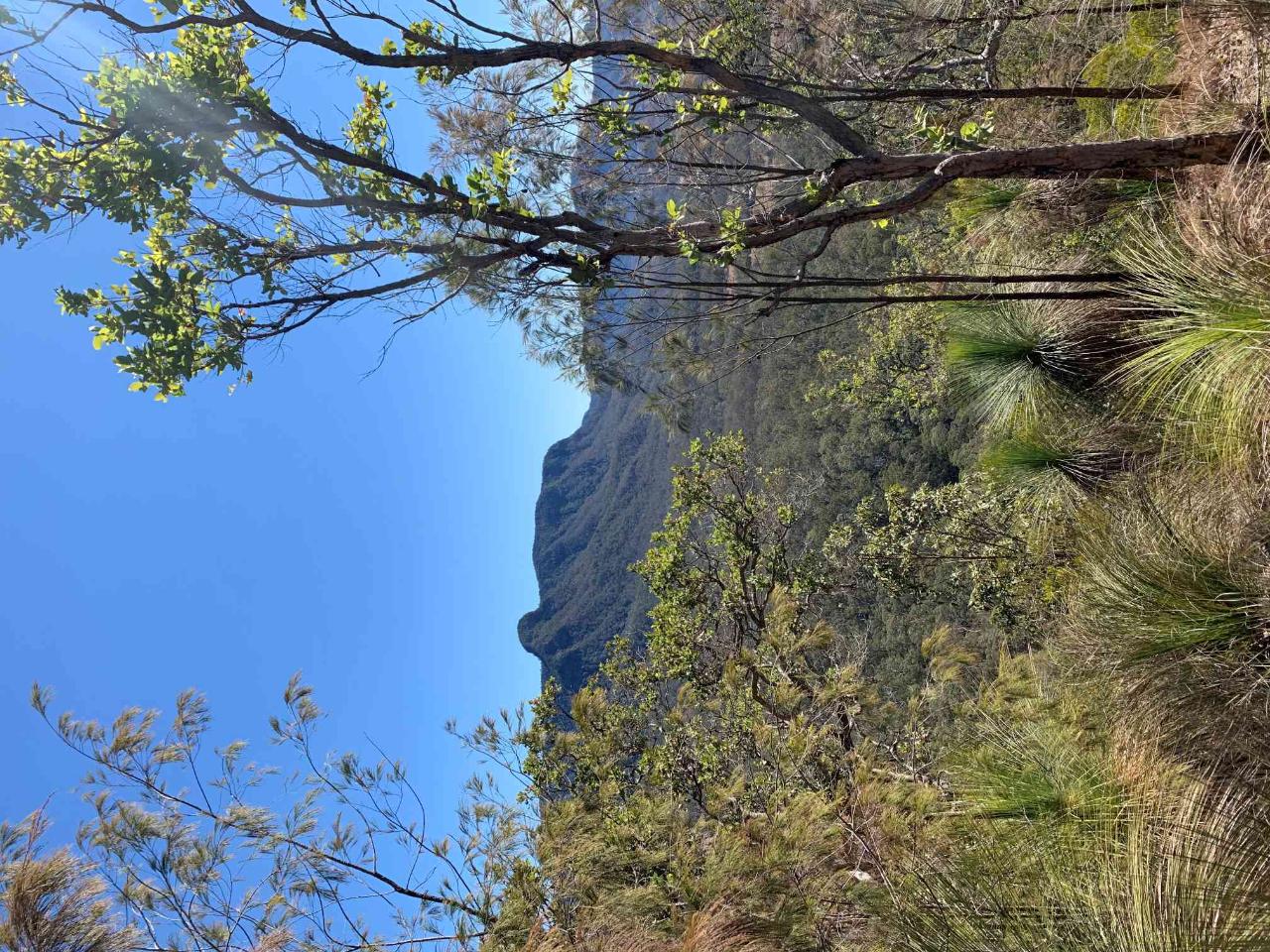 GO WILD - Scenic Rim