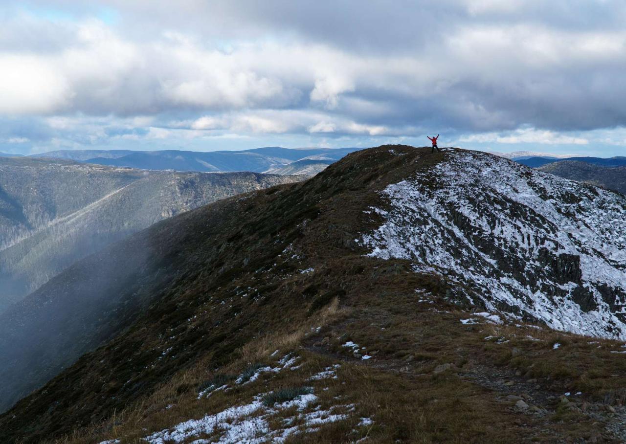 Victorian Alps