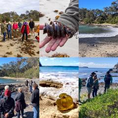 Beach Cast Seaweed Foraging Experience - Mystery Bay- Explore Yuin Country