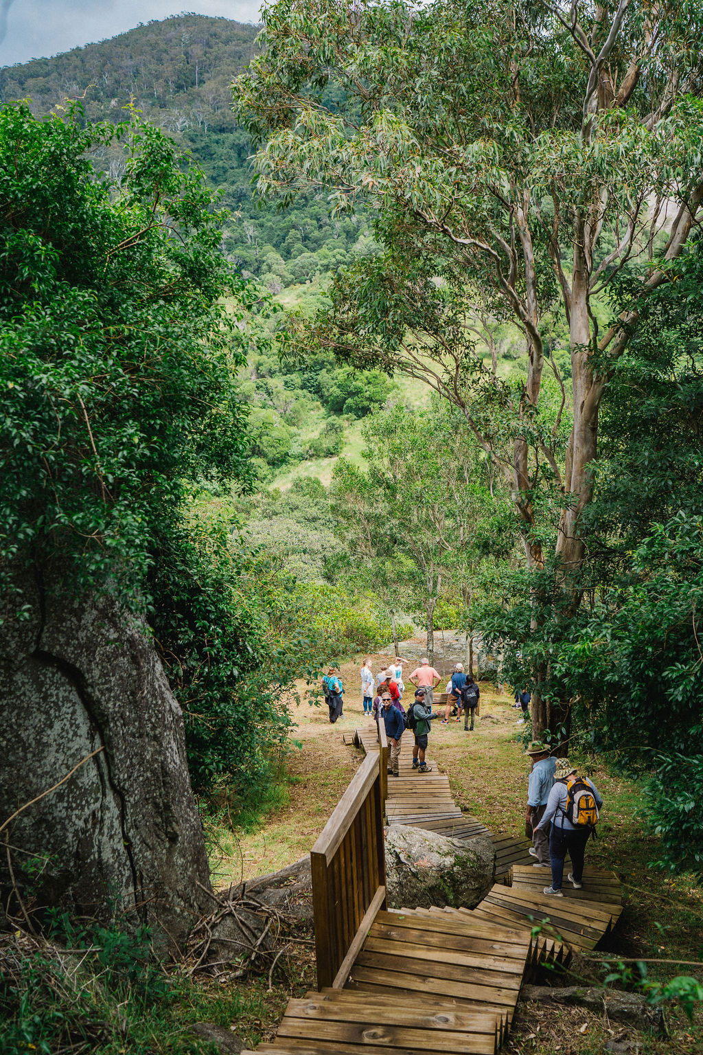 CONNECT TO COUNTRY  - BELLBROOK LOOP WALK CULTURAL WALK WITH ABORIGINAL TRADITIONAL OWNER  LYNNE THOMAS FROM MALLEEMA ABORIGINAL CULTURAL TOURS