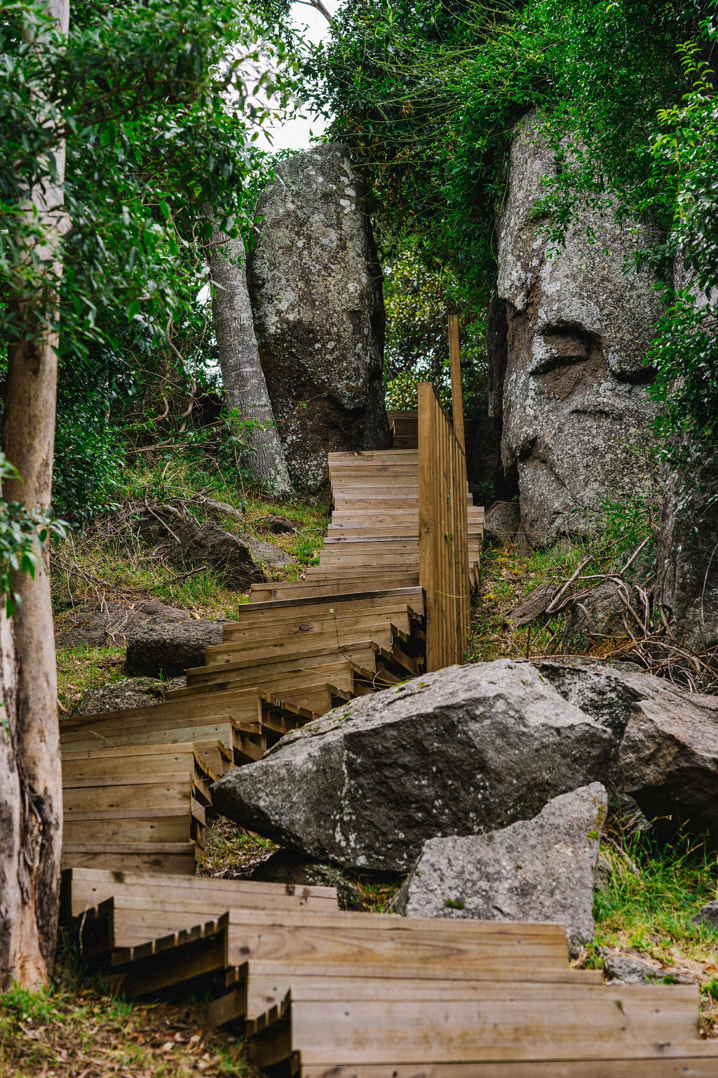 CONNECT TO COUNTRY  - BELLBROOK LOOP WALK CULTURAL WALK WITH ABORIGINAL TRADITIONAL OWNER  LYNNE THOMAS FROM MALLEEMA ABORIGINAL CULTURAL TOURS
