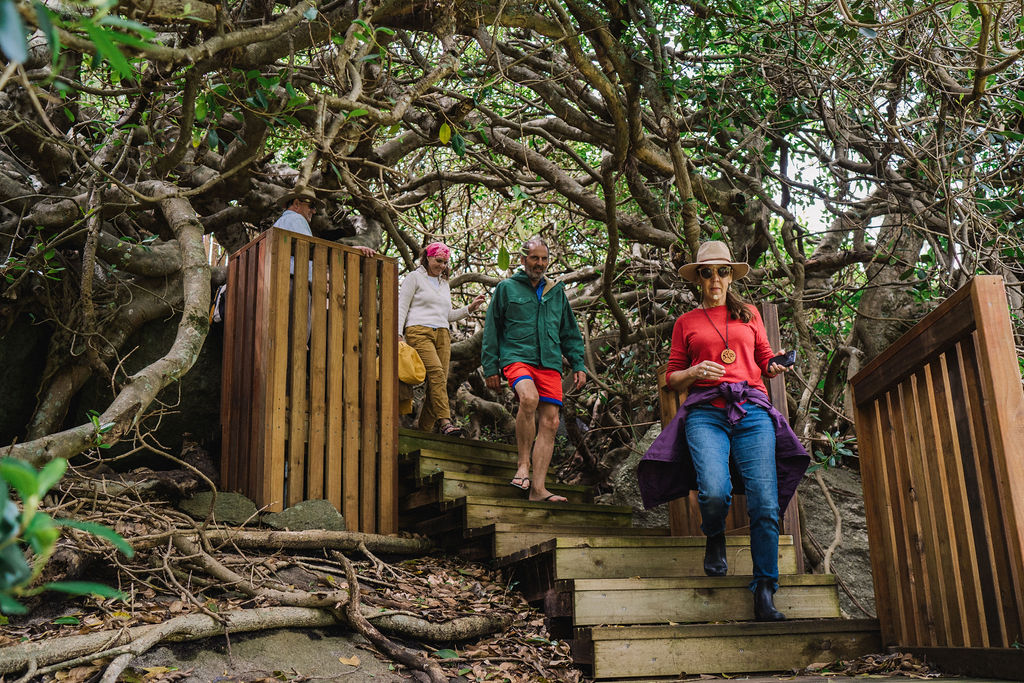 CONNECT TO COUNTRY  - BELLBROOK LOOP WALK CULTURAL WALK WITH ABORIGINAL TRADITIONAL OWNER  LYNNE THOMAS FROM MALLEEMA ABORIGINAL CULTURAL TOURS