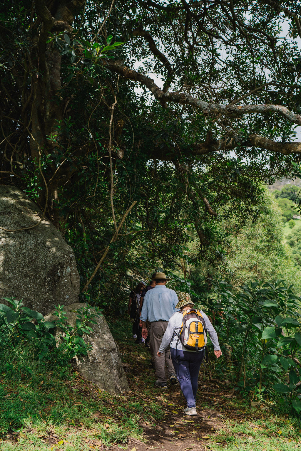 CONNECT TO COUNTRY  - BELLBROOK LOOP WALK CULTURAL WALK WITH ABORIGINAL TRADITIONAL OWNER  LYNNE THOMAS FROM MALLEEMA ABORIGINAL CULTURAL TOURS