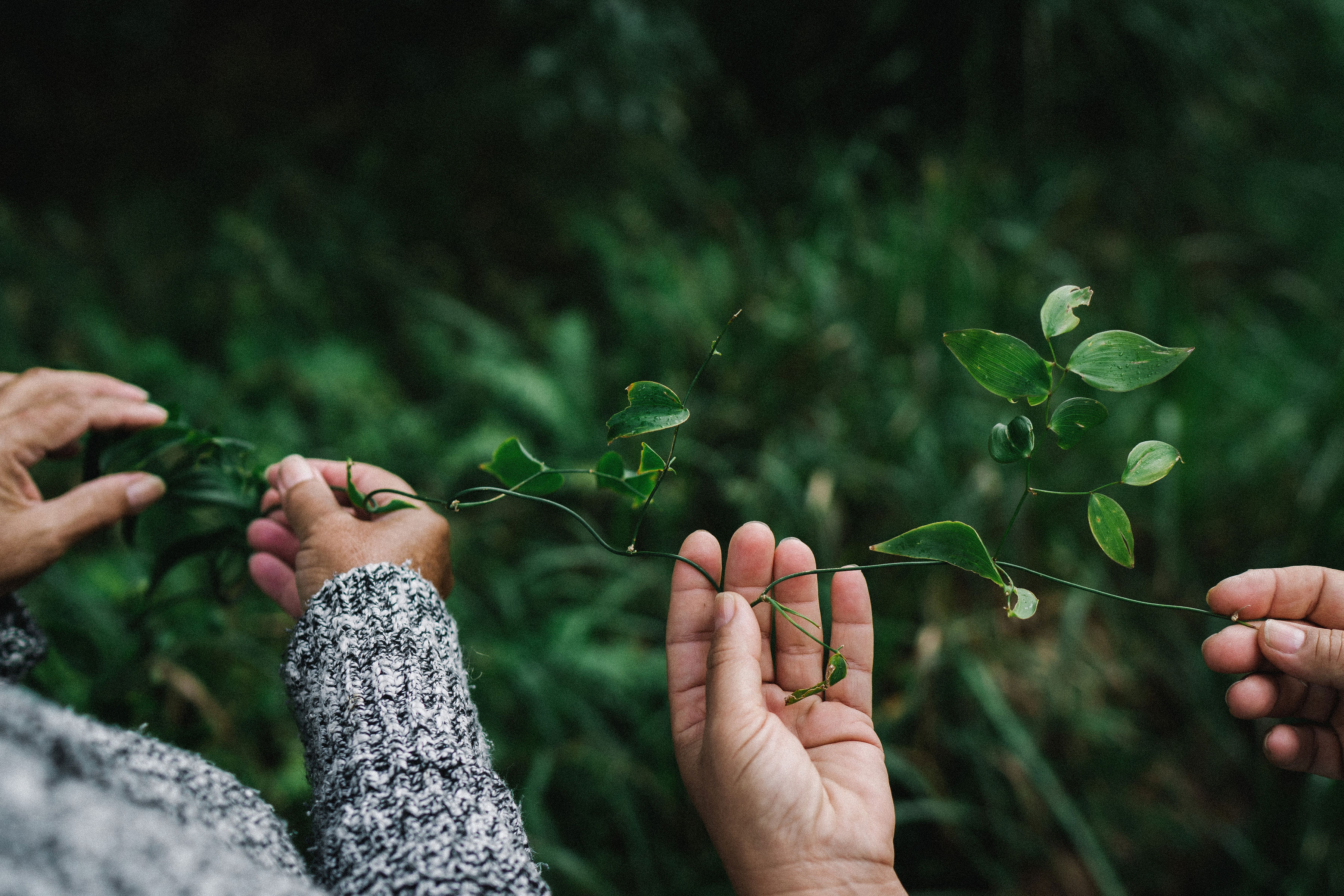 WALKING ON COUNTRY TOUR WITH FIRST NATIONS ELDER DEIDRE MARTIN AT MYSTERY BAY