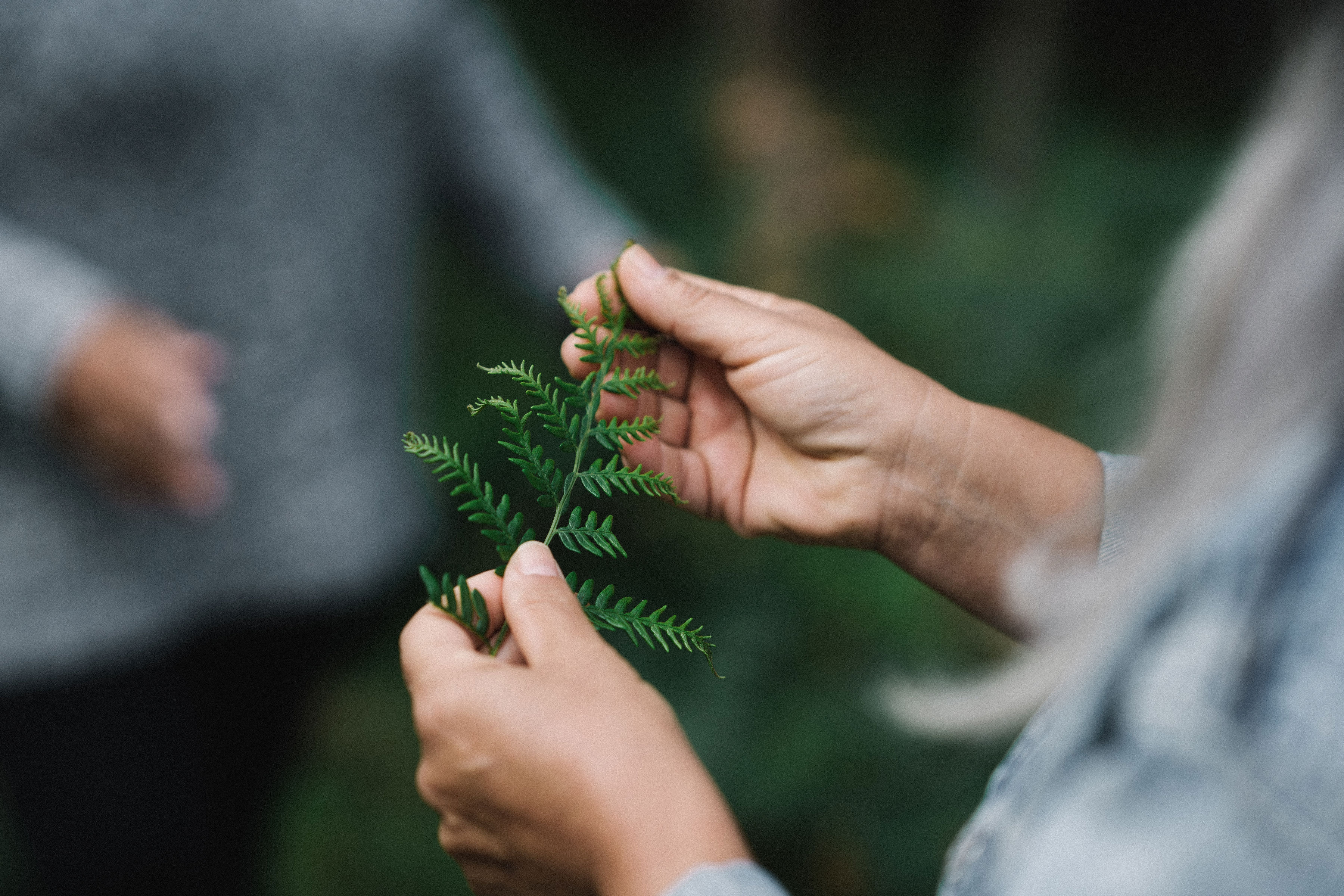 WALKING ON COUNTRY TOUR WITH FIRST NATIONS ELDER DEIDRE MARTIN AT MYSTERY BAY