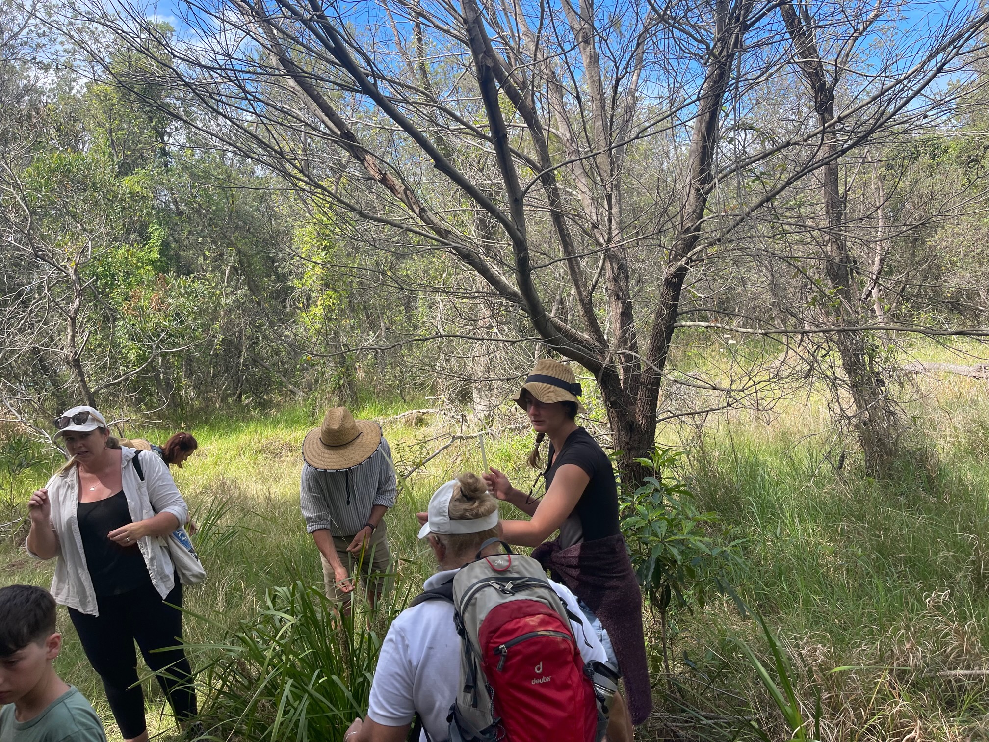 WALKING ON COUNTRY TOUR AT MYSTERY BAY WITH FIRST NATIONS ELDER DEIDRE MARTIN FROM BUGIYA NAWAY BURIDJA