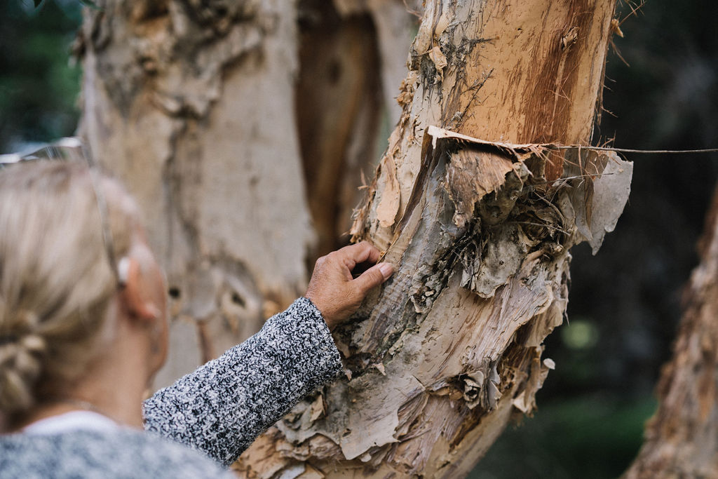 WALKING ON COUNTRY TOUR WITH FIRST NATIONS ELDER DEIDRE MARTIN AT MYSTERY BAY