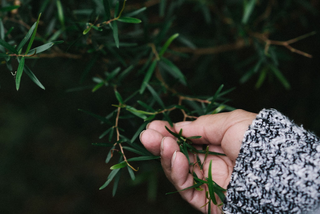 WALKING ON COUNTRY TOUR WITH FIRST NATIONS ELDER DEIDRE MARTIN AT MYSTERY BAY