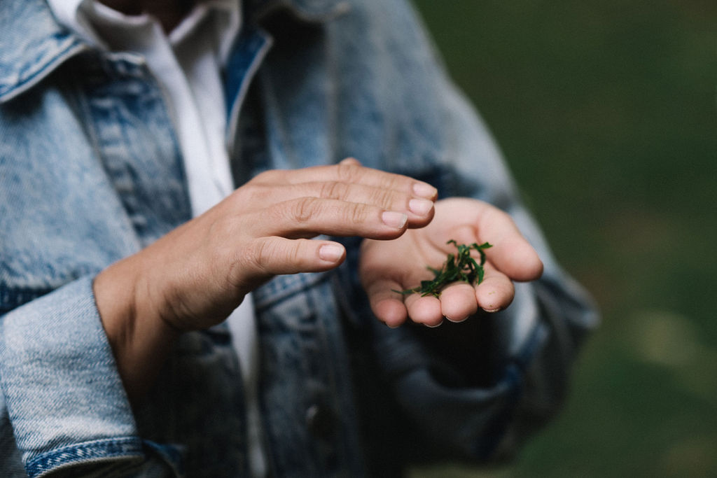 WALKING ON COUNTRY TOUR WITH FIRST NATIONS ELDER DEIDRE MARTIN AT MYSTERY BAY