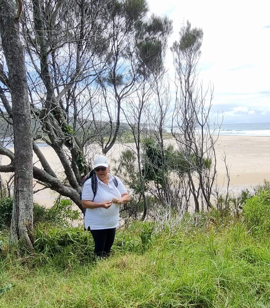 WALKING ON COUNTRY TOUR AT MYSTERY BAY WITH FIRST NATIONS ELDER DEIDRE MARTIN FROM BUGIYA NAWAY BURIDJA