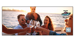 CHEERS TOUR - 4 hours