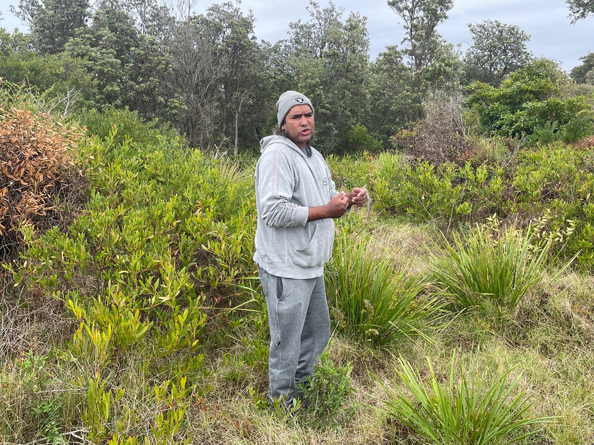 WALKING ON COUNTRY WITH WARREN FOSTER OF YANNAGA YOOWAGA TOURS AT WALLAGA LAKE