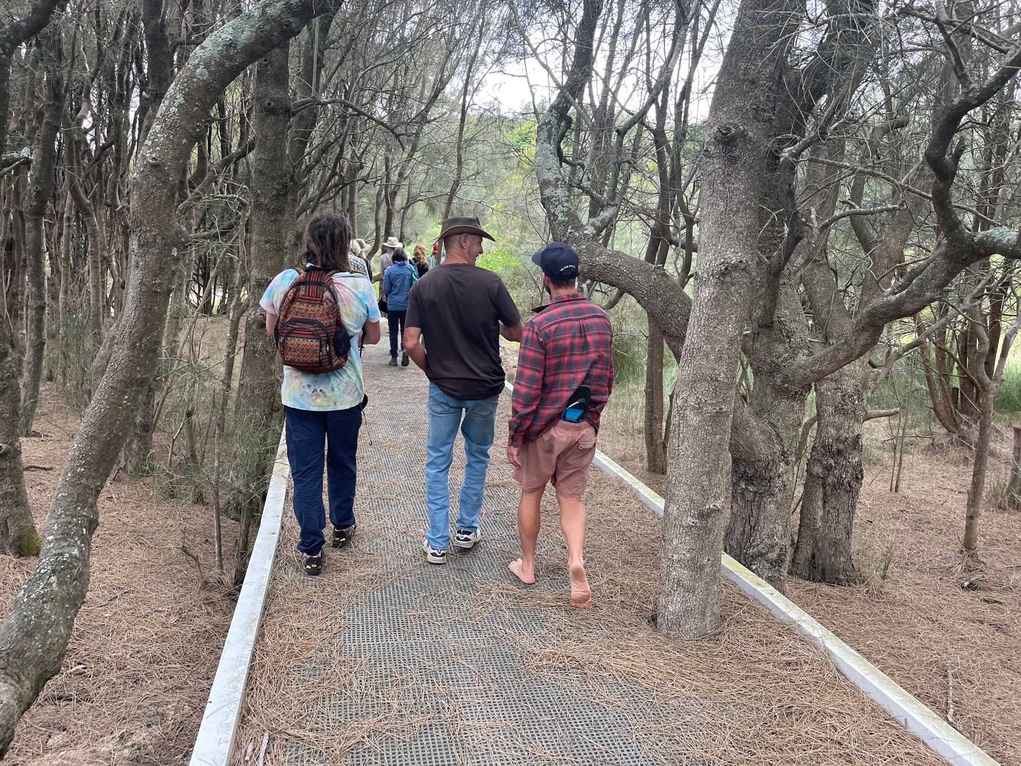 WALKING ON COUNTRY WITH WARREN FOSTER OF YANNAGA YOOWAGA TOURS AT WALLAGA LAKE