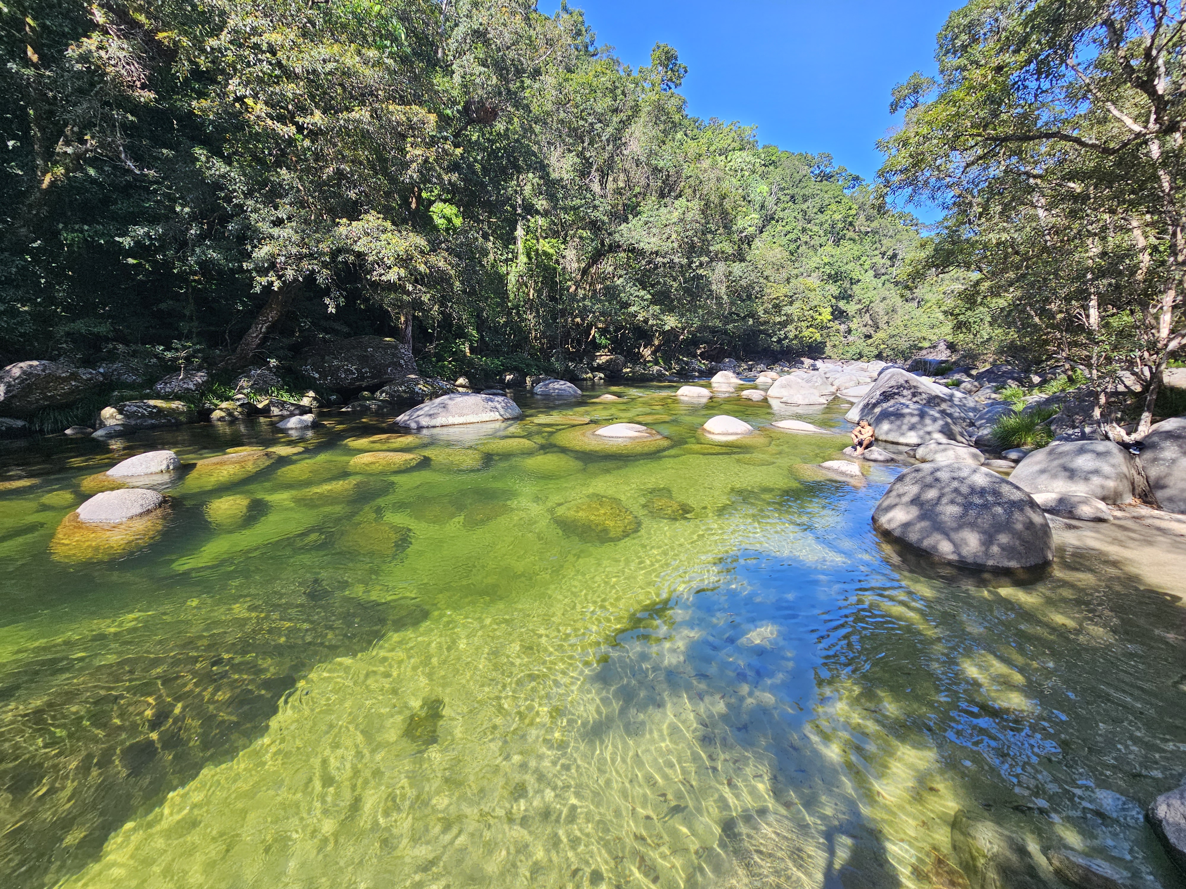 Tour 6B: Culture Beach & Fishing Tour, Daintree Rainforest & Mossman Gorge Tour
