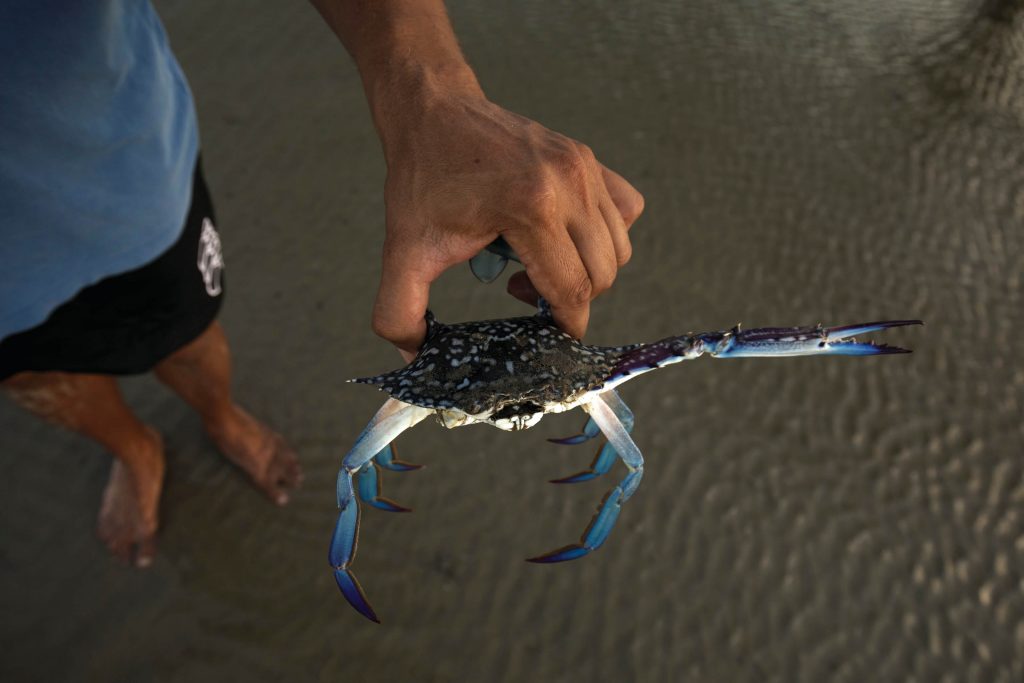 Culture Beach & Fishing Tour, Daintree Rainforest & Daintree River Cruise