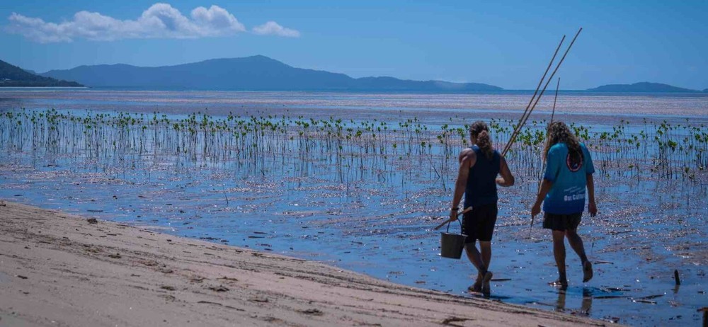 Culture Beach & Fishing Tour, Daintree Rainforest & Daintree River Cruise