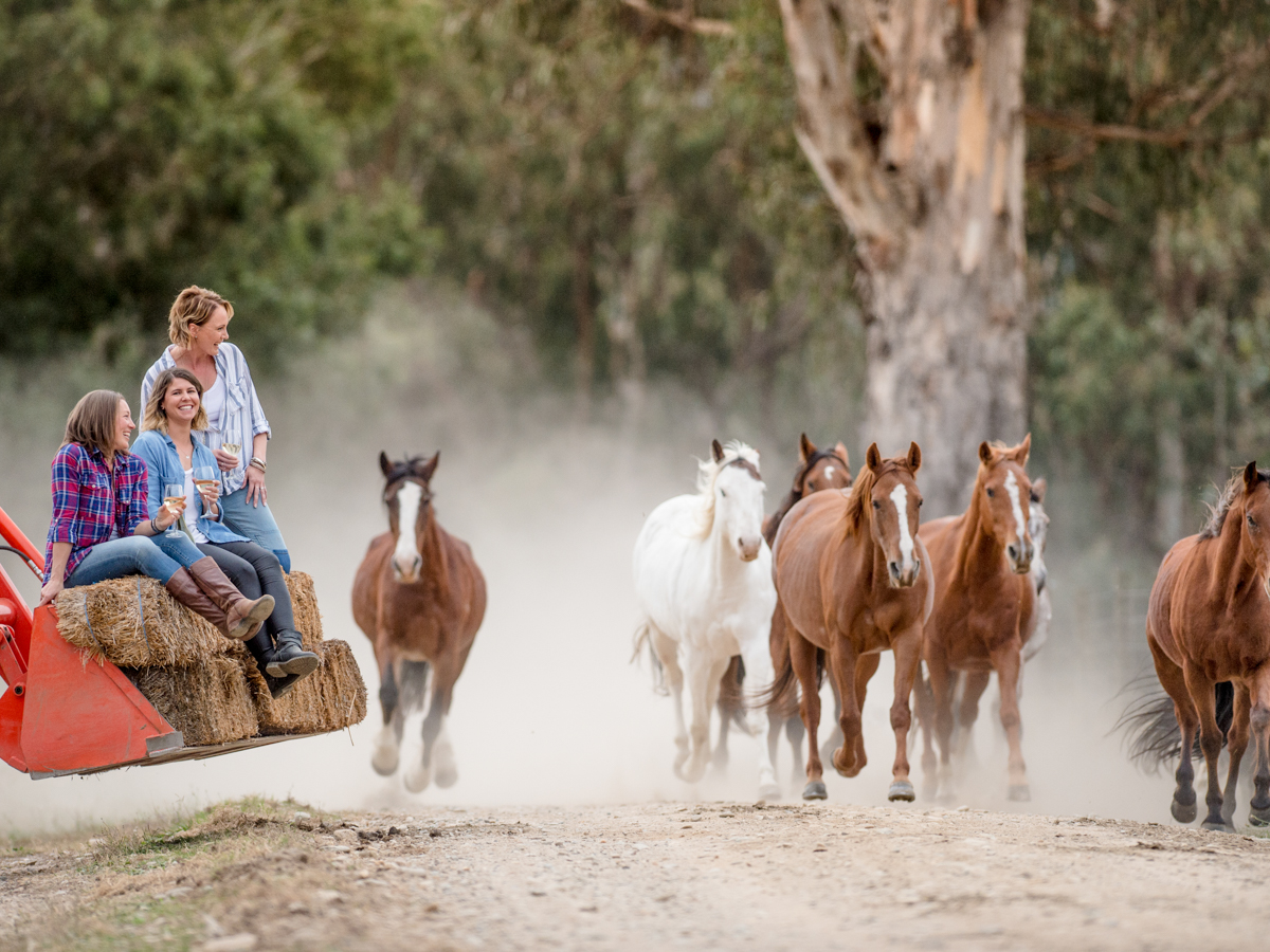 Cup Weekend at Spring Spur -  All inclusive stay & ride package