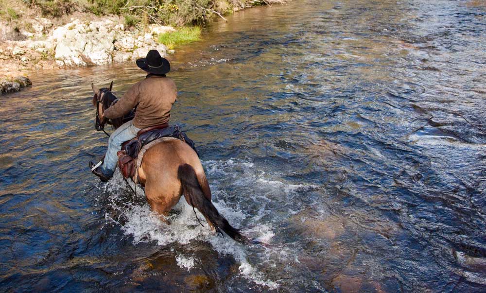 Feast High Country Festival - All inclusive stay & ride package (2021 dates TBC)