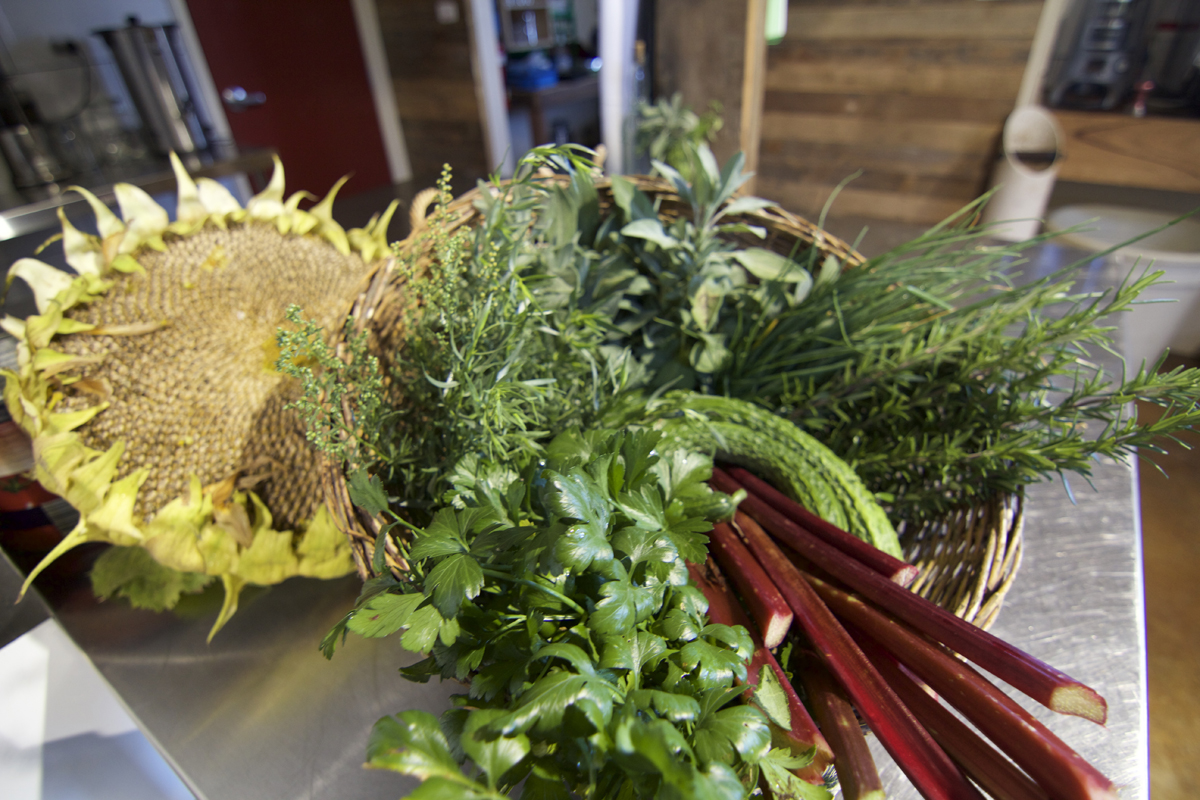 Feast High Country Festival - All inclusive stay & ride package (2021 dates TBC)