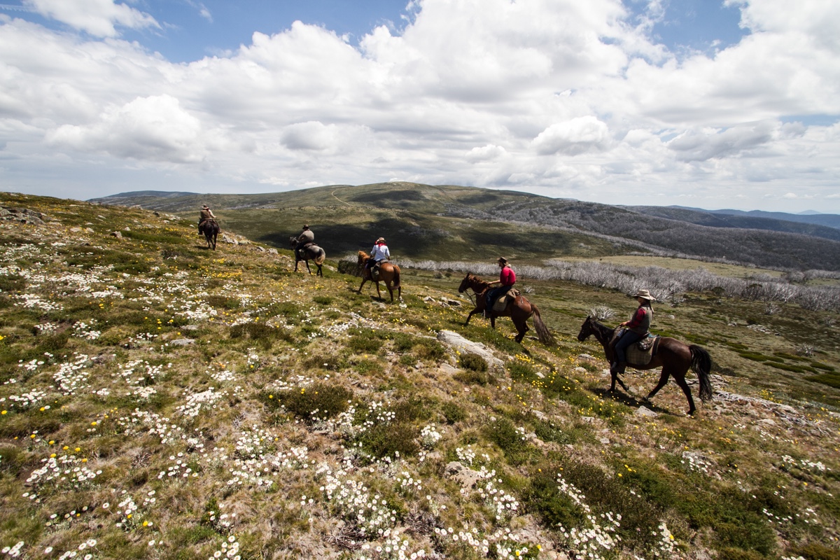 history-of-the-high-plains-5-day-tour-bogong-horseback-adventures