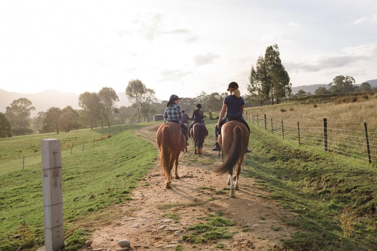 Horsemanship for Kids (11yrs+)