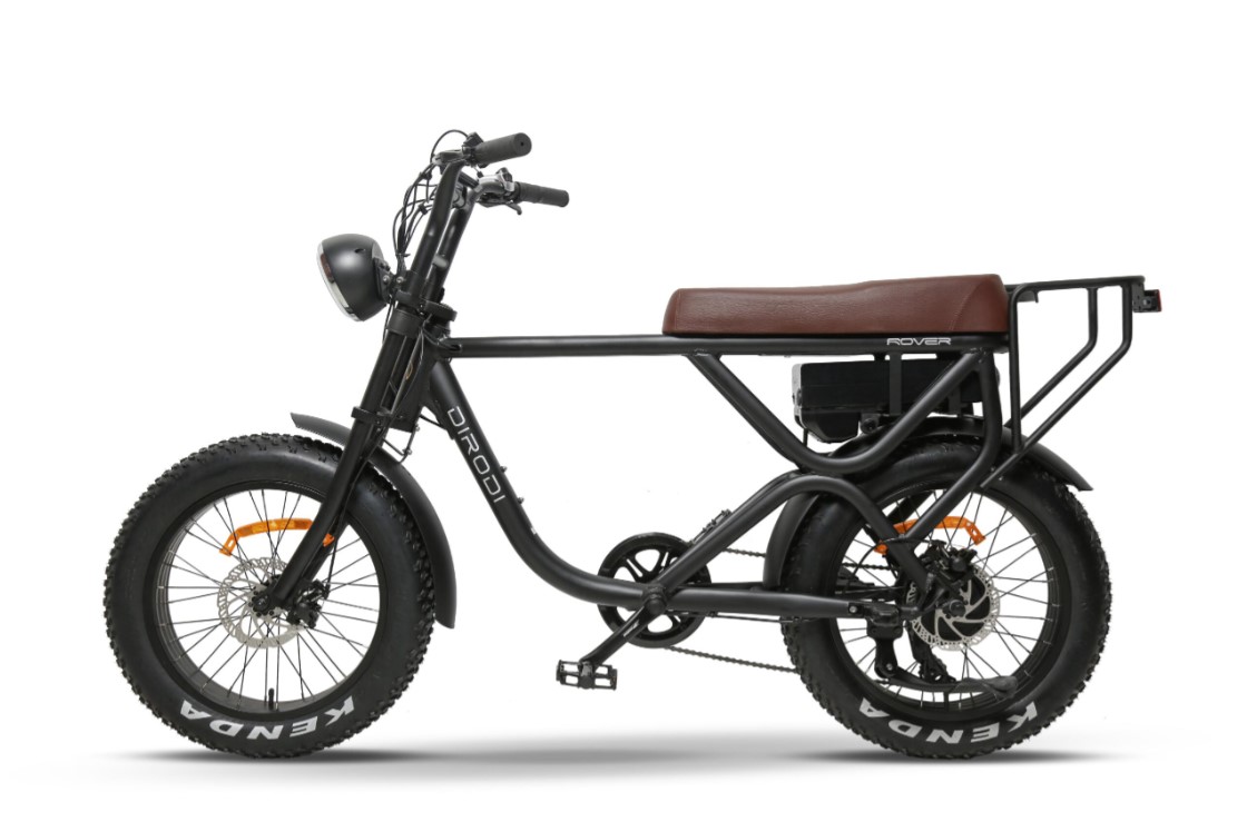 rover ebike
