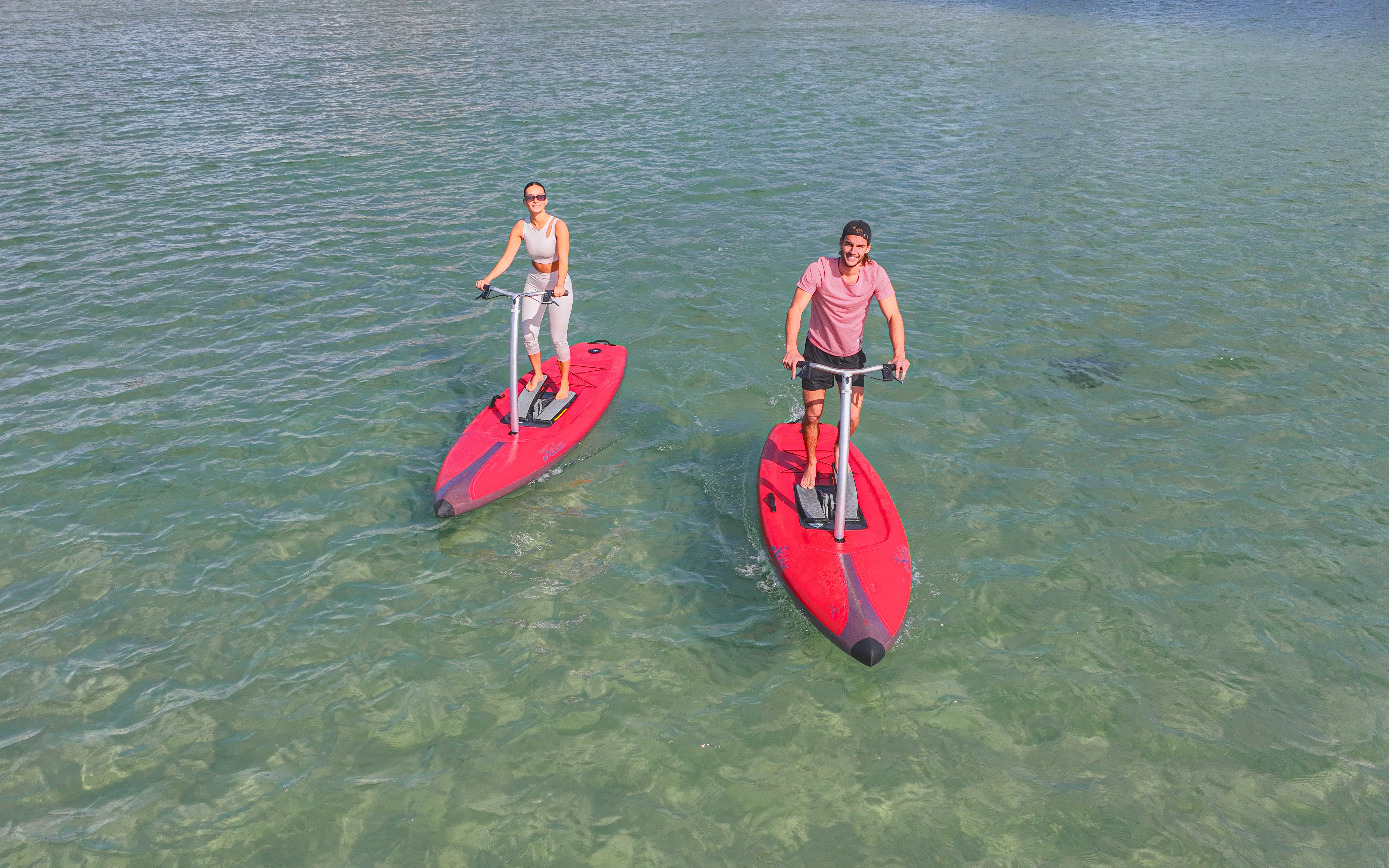Guided Step-Up Paddle Board Tour of Sydney’s Pittwater