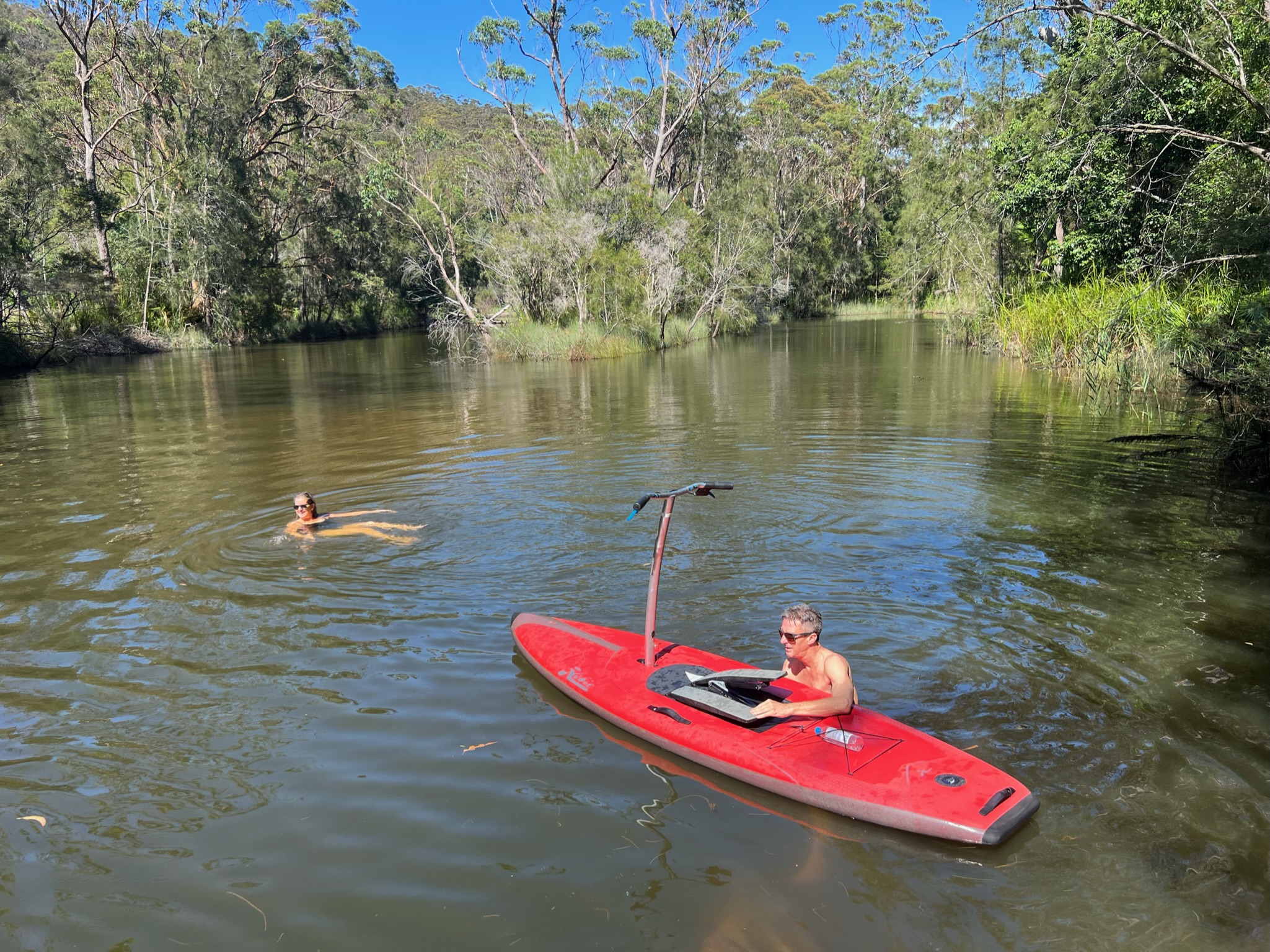 Guided Step Up Pedalboard (SUP) Tour of Narrabeen Lagoon