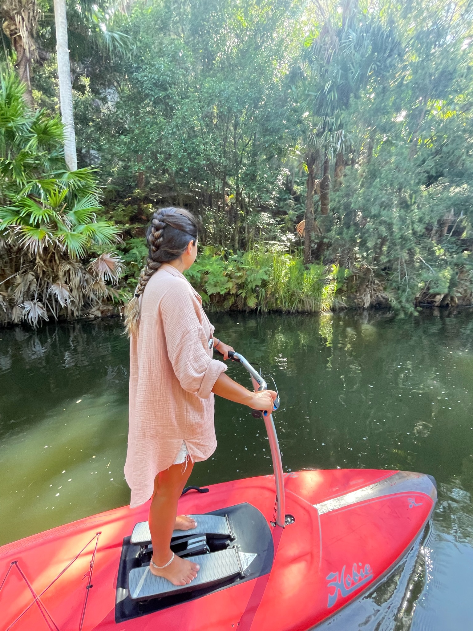 Guided Step Up Pedalboard (SUP) Tour of Narrabeen Lagoon