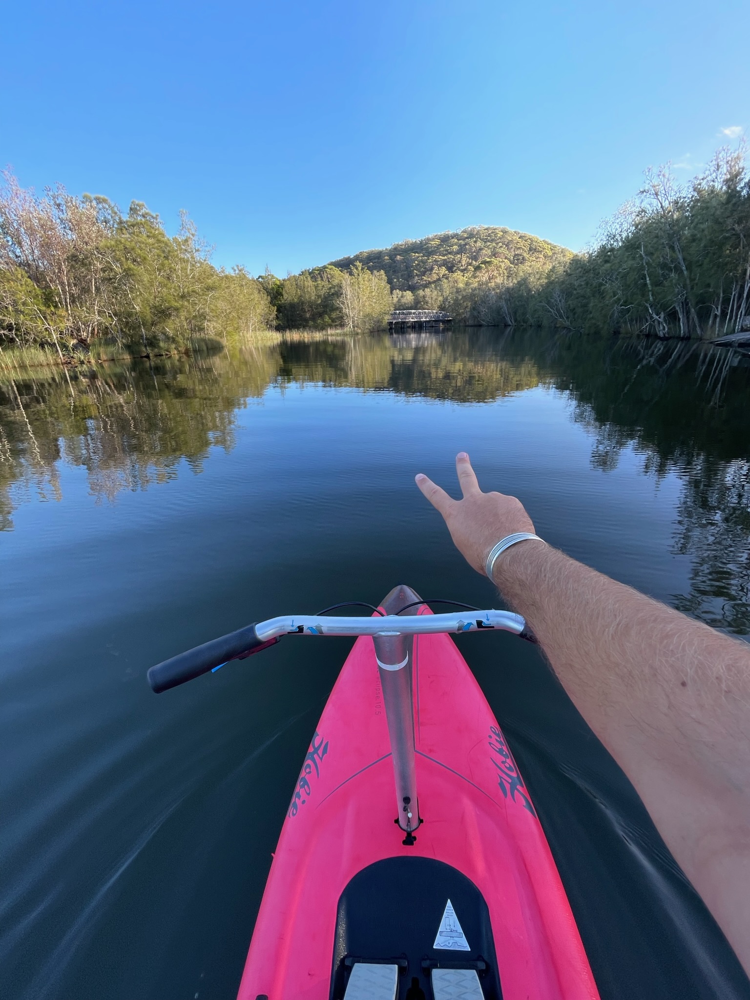 Guided Step Up Pedalboard (SUP) Tour of Narrabeen Lagoon