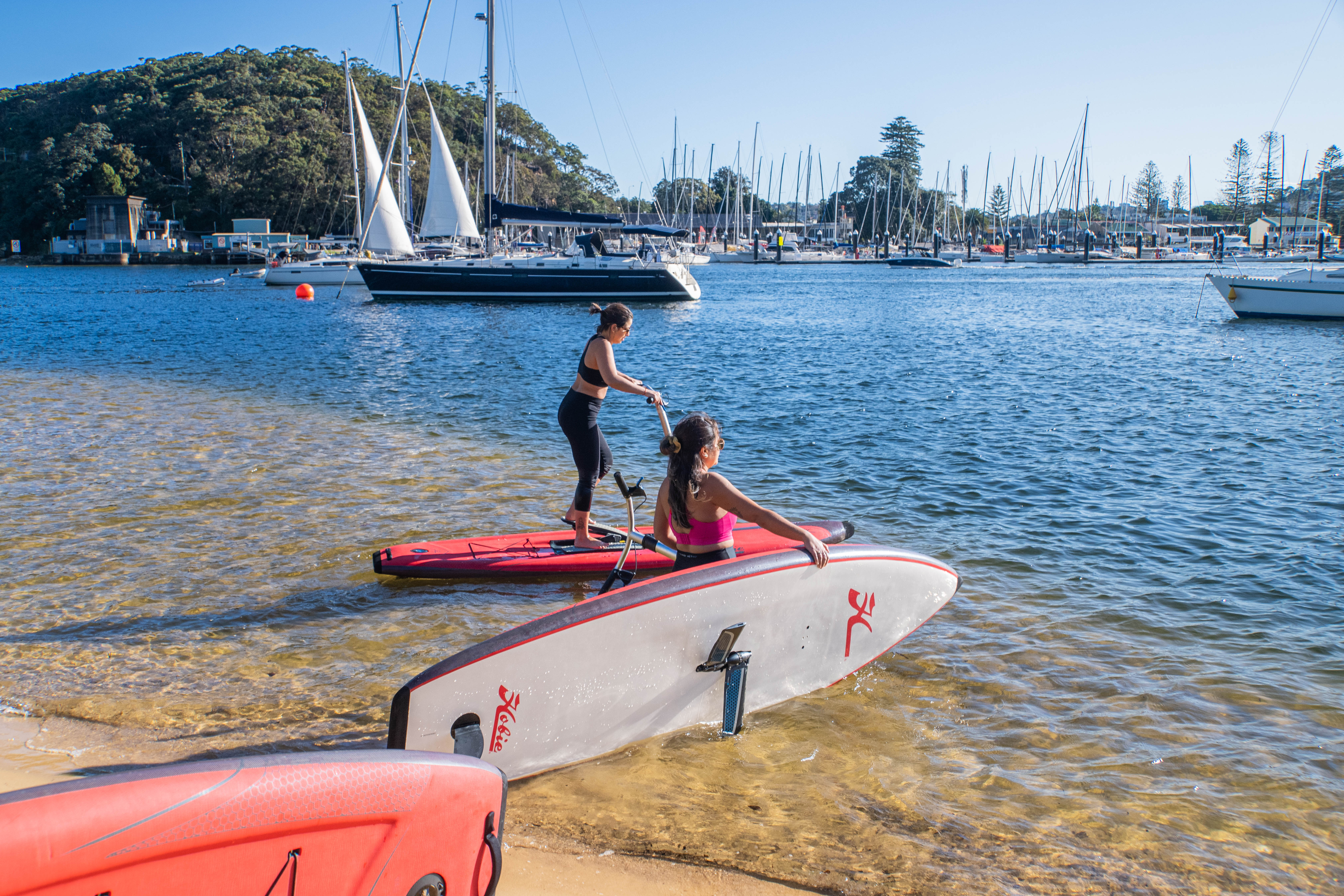 Guided Step-Up Paddle Board Tour of Sydney’s Pittwater