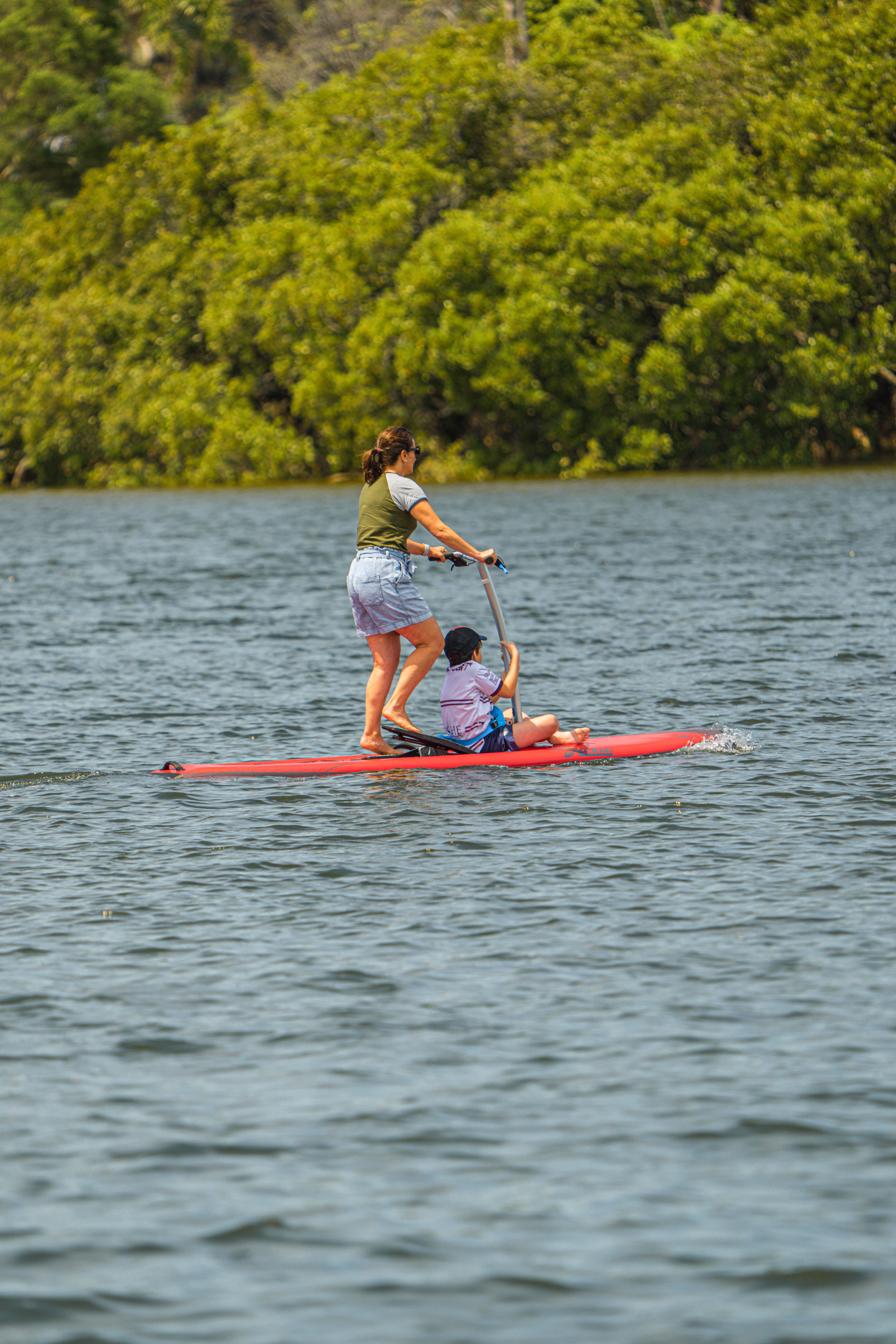 Guided Step-Up Paddle Board Tour of Sydney’s Pittwater