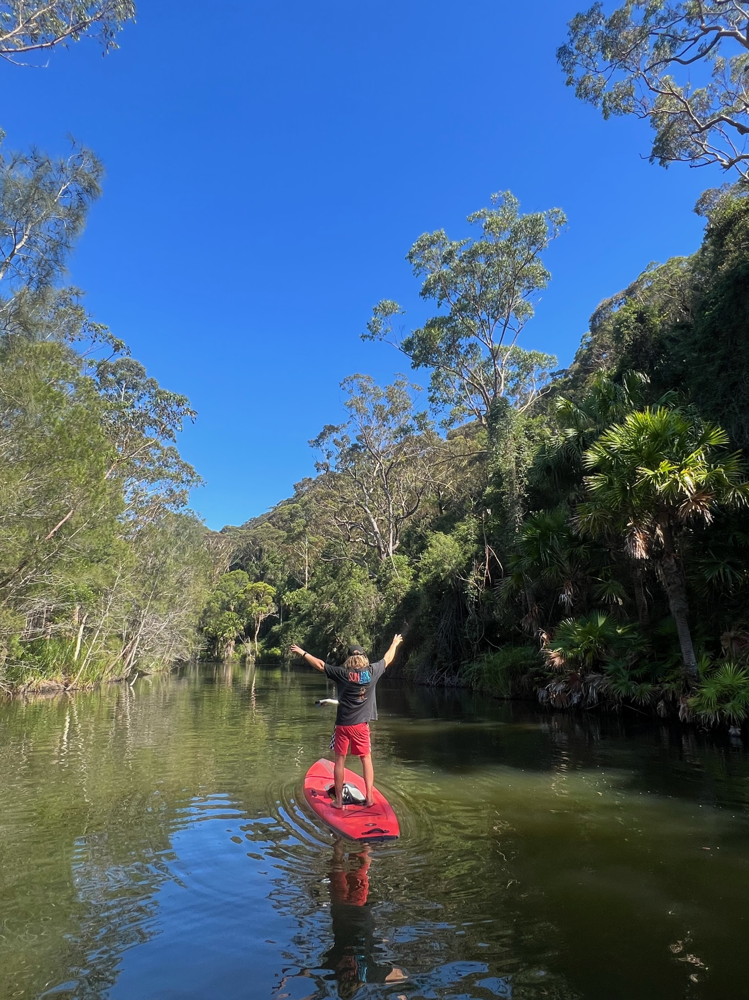 Guided Step Up Pedalboard (SUP) Tour of Narrabeen Lagoon